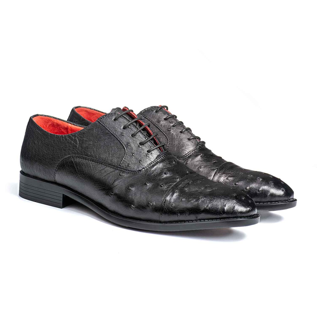 [117] Sam Oxford shoes(Ostrich) (Black, 40)